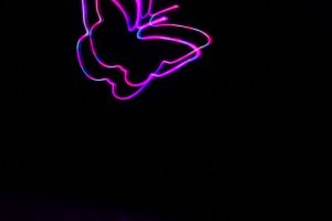 BYU-volumetric-display-Butterflies